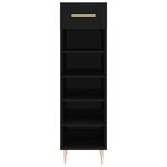 vidaXL Armoire à chaussures noir 30x35x105 cm bois d'ingénierie