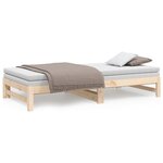 vidaXL Lit coulissant sans matelas 2x(80x200) cm Bois de pin massif