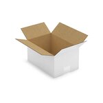 Caisse carton blanche simple cannelure raja 30x20x15 cm (lot de 25)