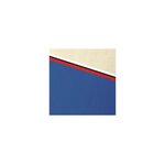 Paquet De 100 Couvertures Grain Cuir Pour Reliure A4 - Rouge - Papeteries De Clairefontaine