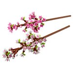 40725 Les fleurs de cerisier ® Botanicals