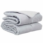 vidaXL Duvet complet toute l'année 155 x 220 cm 300 gsm Argenté