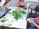SMARTBOX - Coffret Cadeau Balade avec dégustation de plantes sauvages et atelier de teinture écologique -  Sport & Aventure