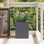 vidaXL Cache-pot de jardin Anthracite Acier laminé à froid