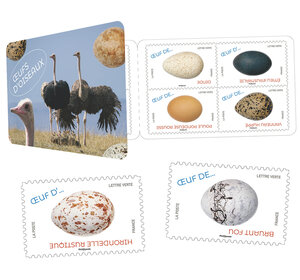Carnet 12 timbres - Oeufs d'oiseaux - Lettre Verte