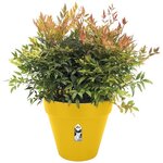 Pot de fleurs Rond LOFT URBAN - Plastique - Percé - Réservoir - Avec roulettes - Ø 50 - Ocre
