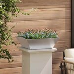 vidaXL Pot de jardin en forme de bol 5 Pièces Argent 50 x 50 x 15 cm