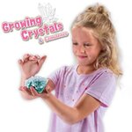 Ses creative crée des cristaux et des pierres précieuses