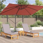 vidaXL Parasol Déporté Terracotta Polyester  Acier Grand