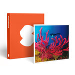 SMARTBOX - Coffret Cadeau Baptême de plongée passionnant de 3h en duo au large de Fréjus -  Sport & Aventure