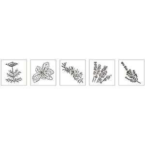 Kit mini-tampons en bois : Herbes aromatiques