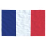 vidaXL Drapeau de la France et mât 5 5 m Aluminium