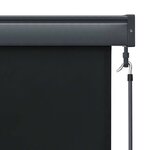 vidaXL Store roulant d'extérieur 100 x 250 cm Anthracite