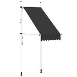 vidaXL Auvent manuel rétractable 100 cm anthracite