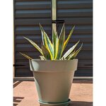Bac à fleurs plastique vert argile Ø 50 cm