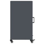 vidaXL Buffet anthracite 36x39x72 cm acier laminé à froid
