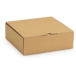 Boîte postale carton brun calage mousse raja 20x14x6 cm (lot de 50)