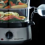 Russell hobbs cuiseur vapeur cook@home 9 l argenté