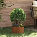vidaXL Jardinière en acier corten Acier corten Acier corten Moyen
