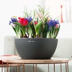 LECHUZA Jardinière CUBETO Stone 30 ALL-IN-ONE noir graphite 13832