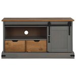 vidaXL Meuble TV HALDEN porte coulissante gris 110x40x60cm bois massif