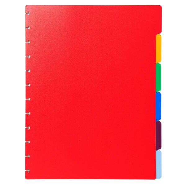 Intercalaires Polypropylènes Couleurs 6 Positions Pour Porte-vues À Anneaux - Couleurs Assorties - X 10 - Exacompta