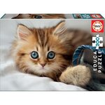 EDUCA PUZZLE 200 KITTENS AND PUPPIES