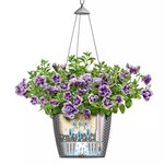 LECHUZA Jardinière suspendue NIDO Cottage 35 ALL-IN-ONE blanc