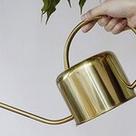 Arrosoir vintage doré en inox 1,2 litres