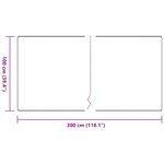 vidaXL Tapis Couloir Gris clair 100 x 300 cm 100 Polypropylène