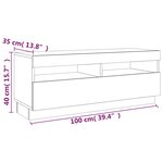 vidaXL Meuble TV avec lumières LED chêne fumé 100x35x40 cm