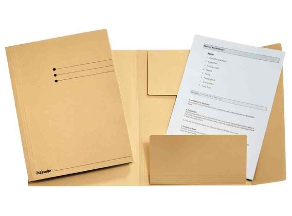 Chemise-trieur A4 Carton Manila 275 g 3 Rabats Chamois ESSELTE