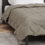 vidaXL Duvet complet toute l'année Gris clair 220 x 140 cm Microfibre