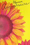 Carte FLUO Heureux ANNIVERSAIRE Fleur Tournesol Gerbera avec Enveloppe 12x17,5cm