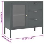 vidaXL Buffet Anthracite 75x35x70 cm Acier et verre trempé