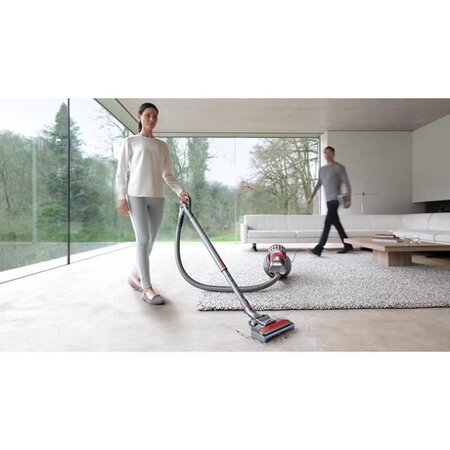 Dyson cinetic big ball animal pro 2 - aspirateur traîneau sans sac -  collecteur 1 7l - brosses turbinehead - cordon 6.5 m - La Poste