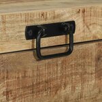 vidaXL Coffres de rangement 60 x 30 x 30 cm Bois de manguier massif