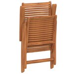 vidaXL Chaises de jardin pliantes inclinables lot de 2