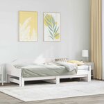 vidaXL Lit de jour et lit gigogne sans matelas 80x200 cm bois massif