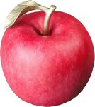 POMME 400g Pièce de cuivre 100 Francs CFA Cameroun 2025