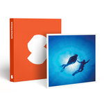 SMARTBOX - Coffret Cadeau Baptême de plongée en piscine ou sous-marine - Sport & Aventure