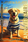67-1271 Carte ANNIVERSAIRE Chien à la plage Texte en Or Doré Brillant et Enveloppe 12x17 5cm  labrador golden retriever à la mer Animal de compagnie en marinière t-short rayé bleu et blanc collier