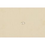 Chemise 3 rabats à élastiques carte lustrée 400g/m2 - A4 - Ivoire EXACOMPTA