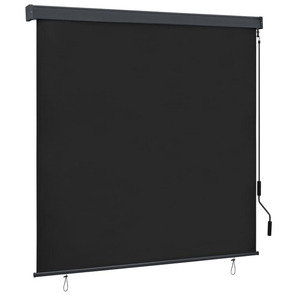 vidaXL Store roulant d'extérieur 160x250 cm Anthracite