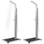 vidaXL Douche d'extérieur avec receveur de douche WPC Acier inoxydable