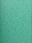 Chemise carte lustrée  A4  vert 24 x 32 cm EXACOMPTA