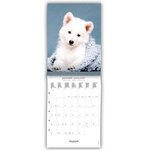 Petit Calendrier Mensuel 2025 14x18 Cm - Chiens - Draeger paris