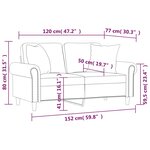 vidaXL Canapé 2 places avec oreillers décoratifs rose 120 cm velours