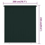vidaXL Store roulant d'extérieur 200x230 cm Vert foncé PEHD
