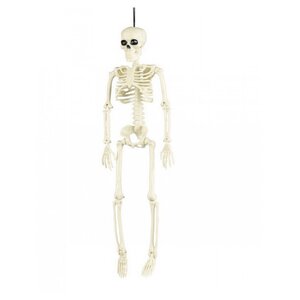 Squelette articule  40 cm Halloween